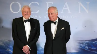 Sir David Attenborough admits he’s “approaching the end of his life” in emotional new statement