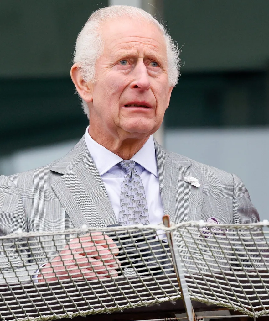 King Charles stands in a grey suit