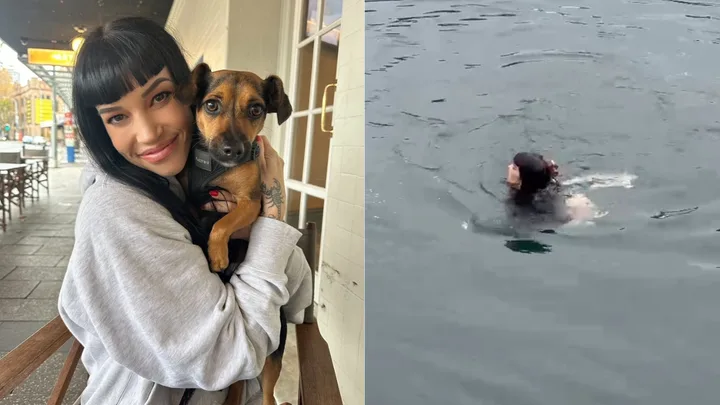 I saved a puppy from shark-infested waters!
