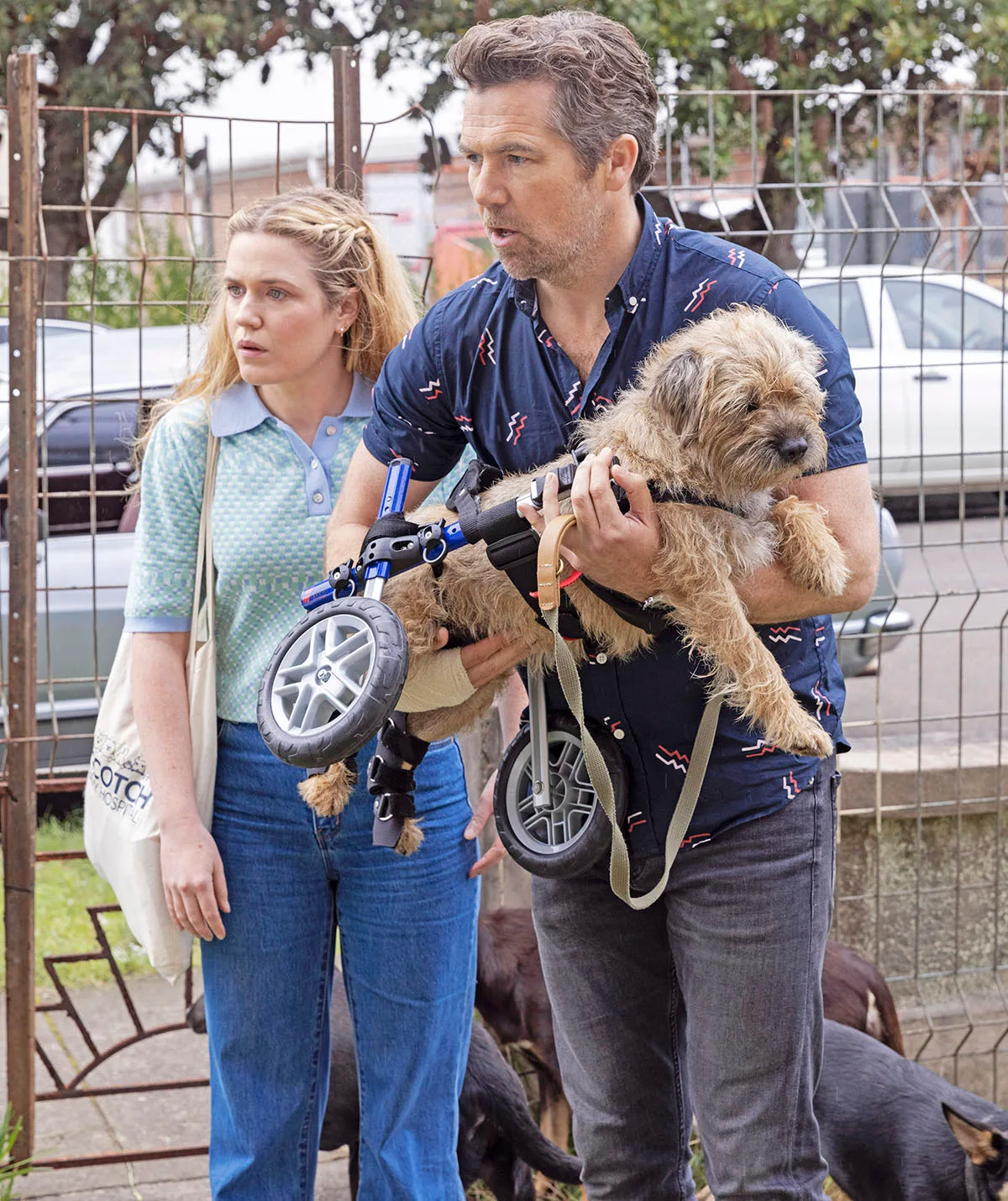 Harriet Dyer, as Ash, stands next to Patrick Brammall, as Gordon, holding the disabled dog with wheels attached to him in a scene from Colin From Accounts. 
