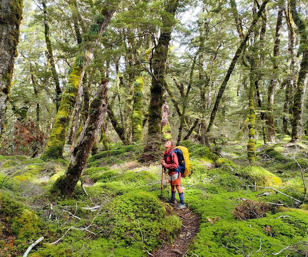 Emilie in Goblin Forest in Takitimu Conservation Area. (Image: Supplied)