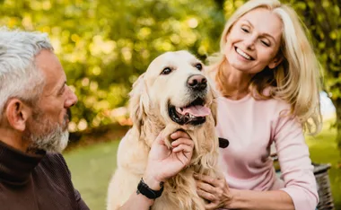 5 ways to pamper your pooch with fun, essential gear