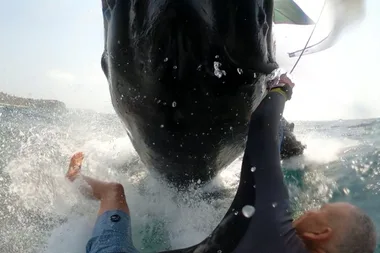 Jason Breen colliding with a whale