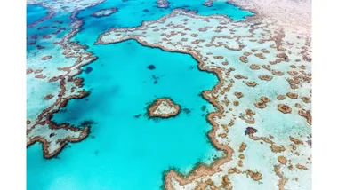 The famous Heart Reef in The Whitsundays.