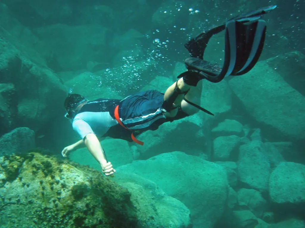 Scuba diver Richard Johnson found Sonia's lost handbag in the ocean
