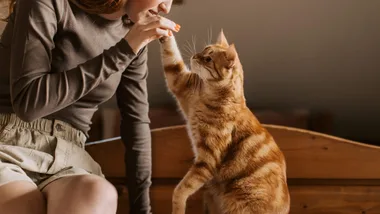 Budget Pet products discount code