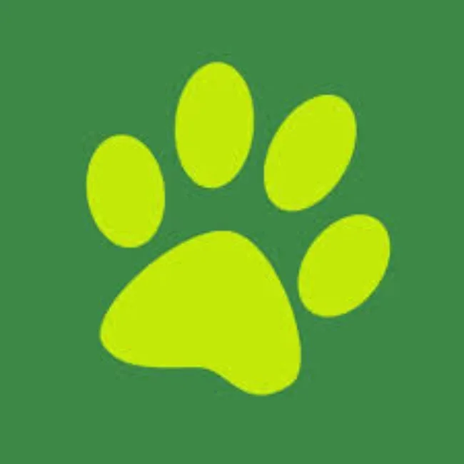 Budget Pet Products discount code: Up to 50% off in August - Featured Image