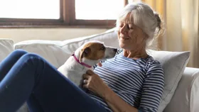 This Aussie dog brand is giving away $10,000 to one lucky pet parent