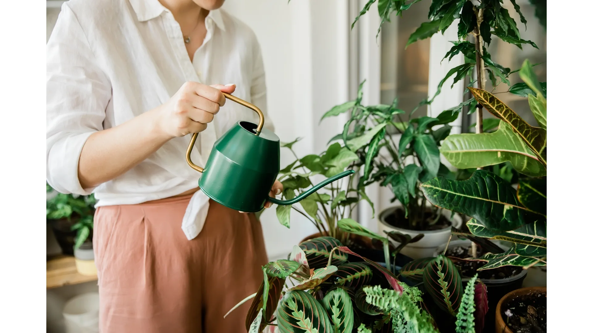 A woman waters her indoor plants.