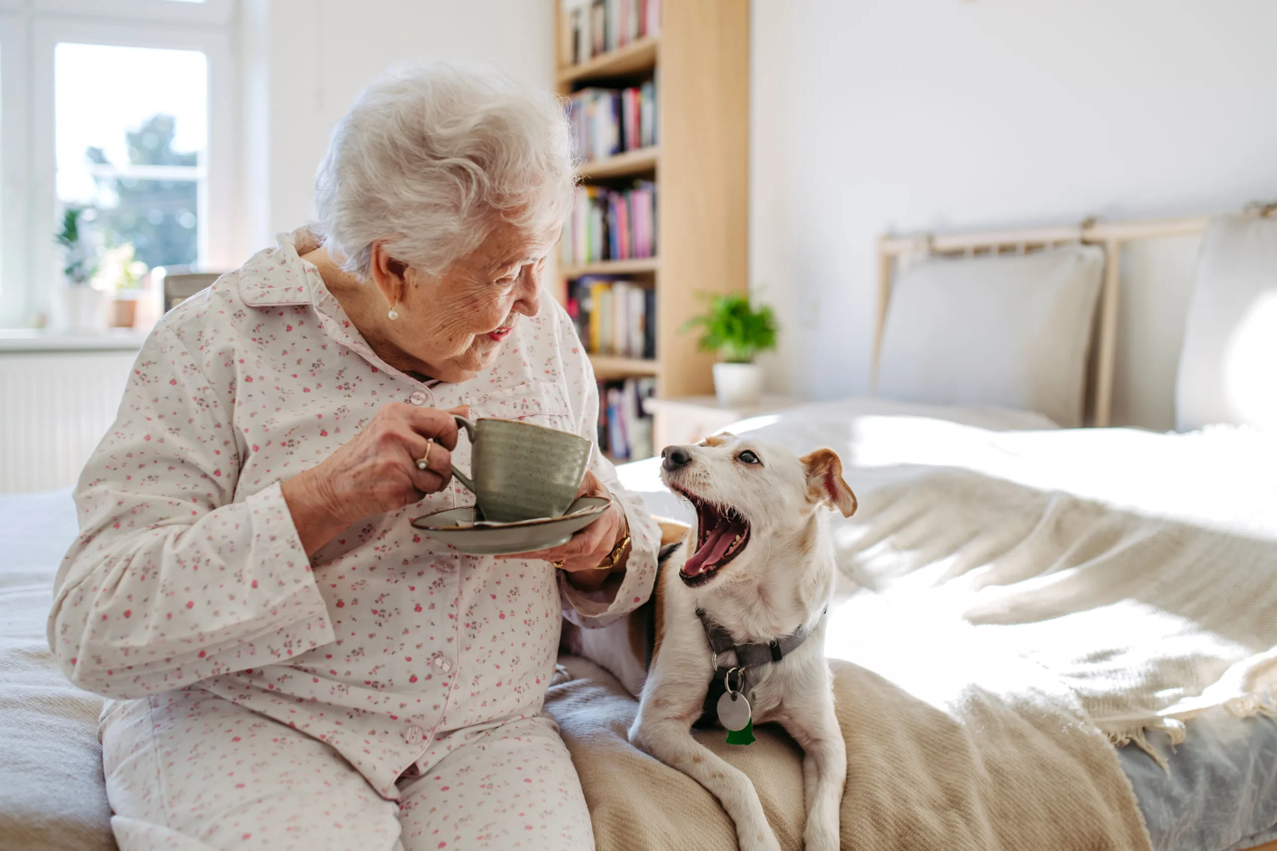 Dog yawning at woman in pyjamas