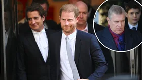 Prince Harry, INSET: Prince Andrew