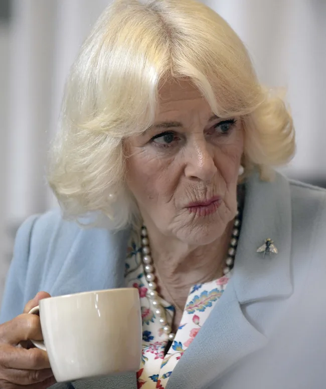 Queen Camilla