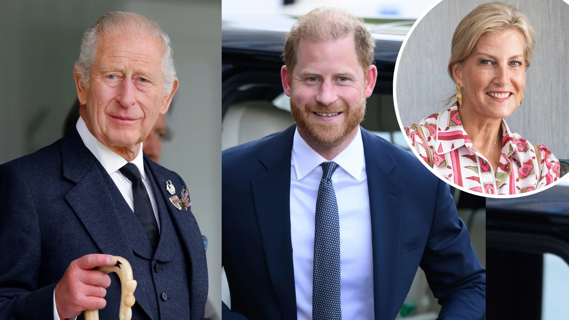 "Secret weapon" Duchess Sophie 'mediates' King Charles and Prince Harry reunion as Prince William 'blocked' from attending. (Image: Getty)