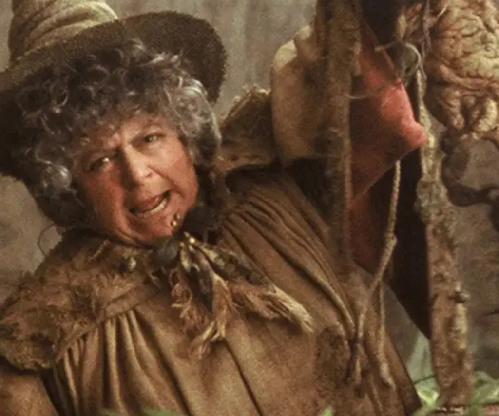 A woman playing a character in the Harry Potter movies.