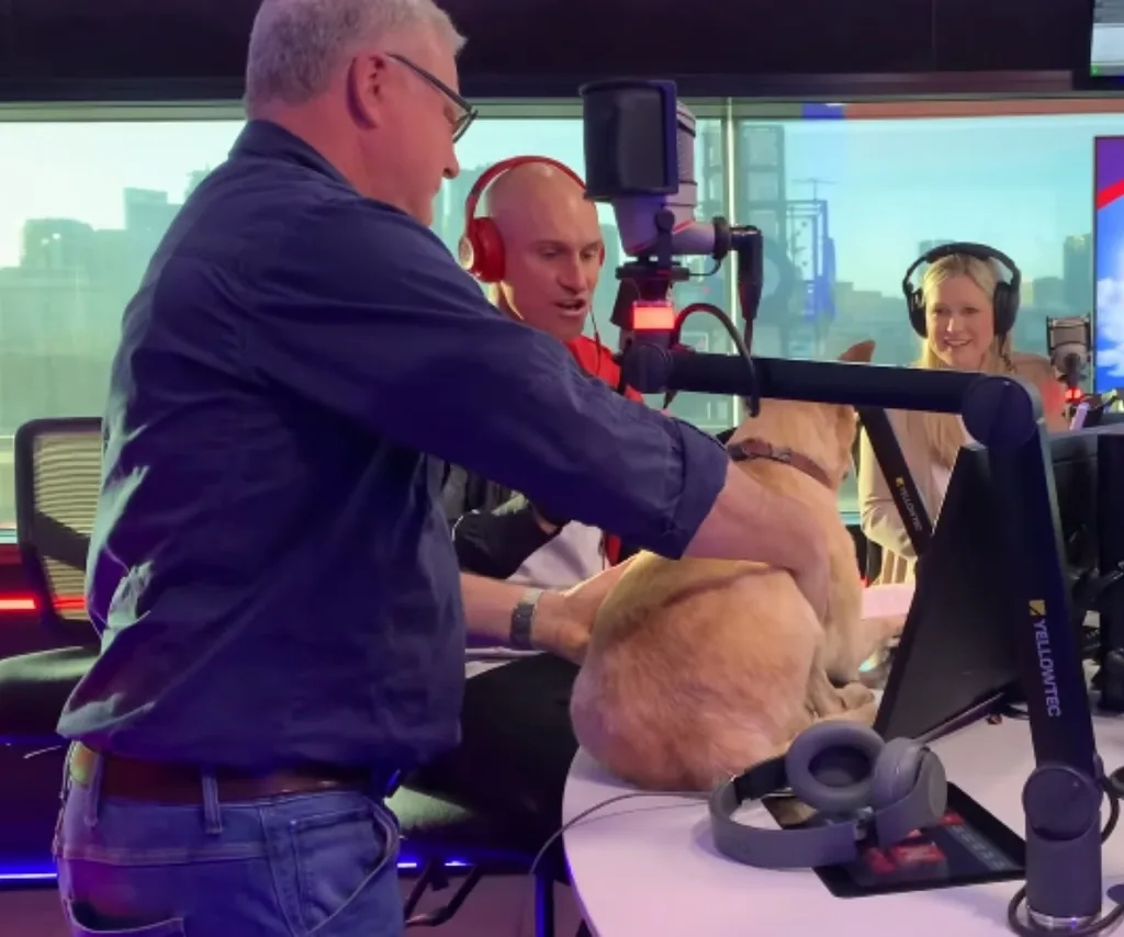 Scott Cam takes his stuffed dogs to interviews