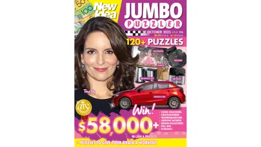 New Idea Jumbo Puzzle Book 156