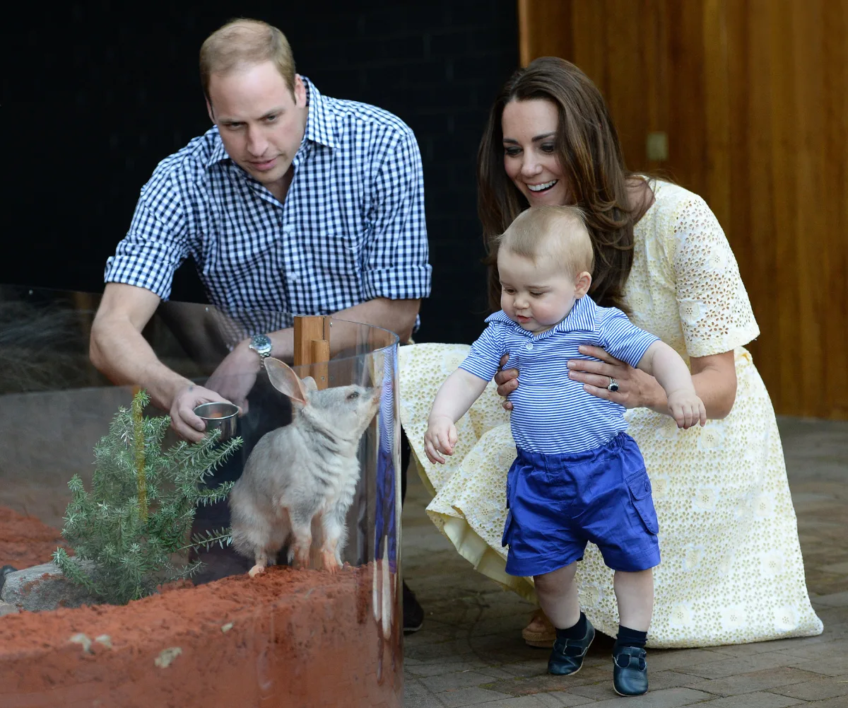 Prince William, Catherine and Prince George meet a Bilby called George as they visit the Bilby Enclosure at Taronga Zo