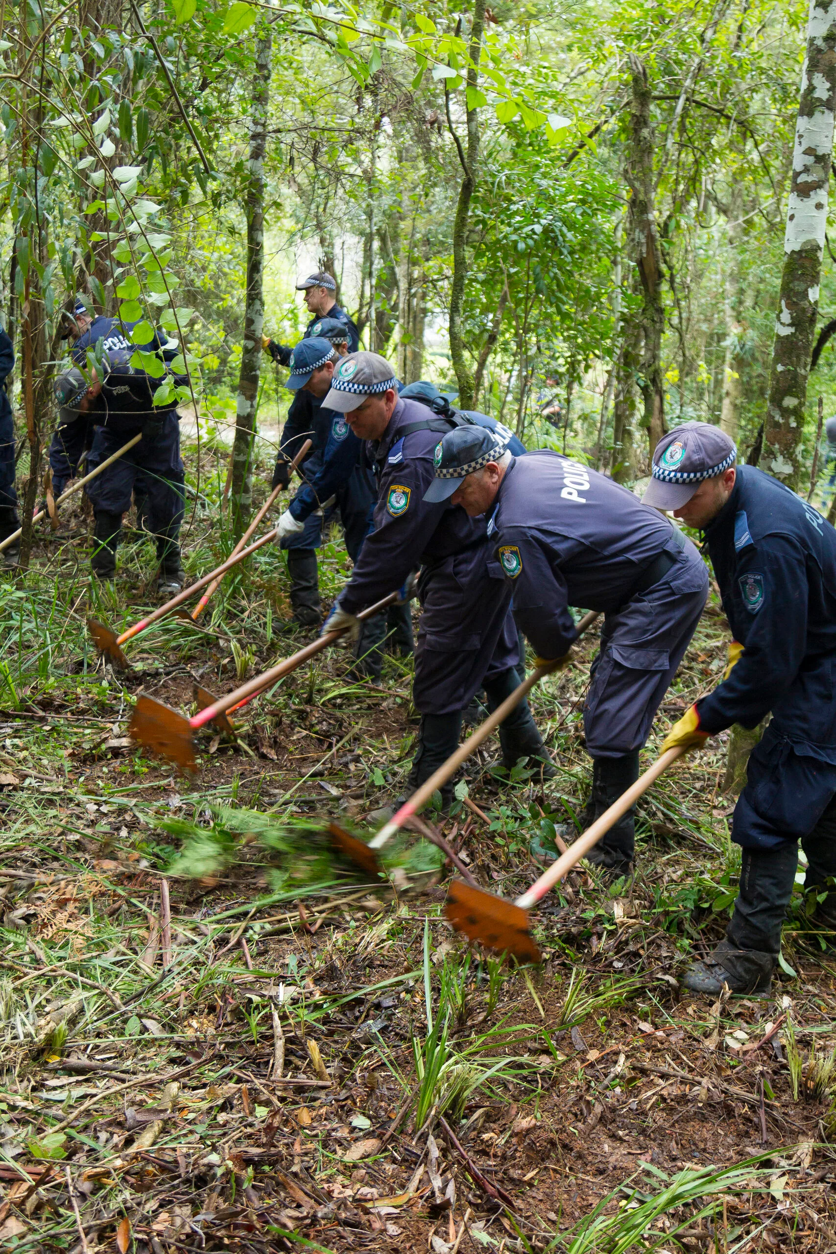 NSW Police search bushland at Batar Creek in NSW, Wednesday, June 27, 2018. Search teams looking for evidence in the William Tyrrell case have moved to a new area of NSW bushland, about four kilometres from where the three-year-old boy was last seen nearly four years ago. The new search area is a six-minute drive from William's foster grandmother's yard in the NSW mid-north coastal town of Kendall, where the boy vanished in September 2014. 