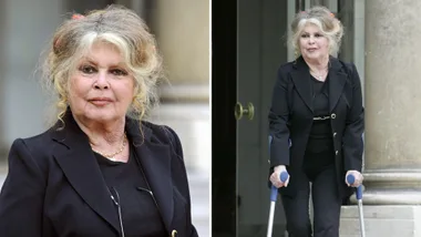 Brigitte Bardot hospitalised amid “serious illness”