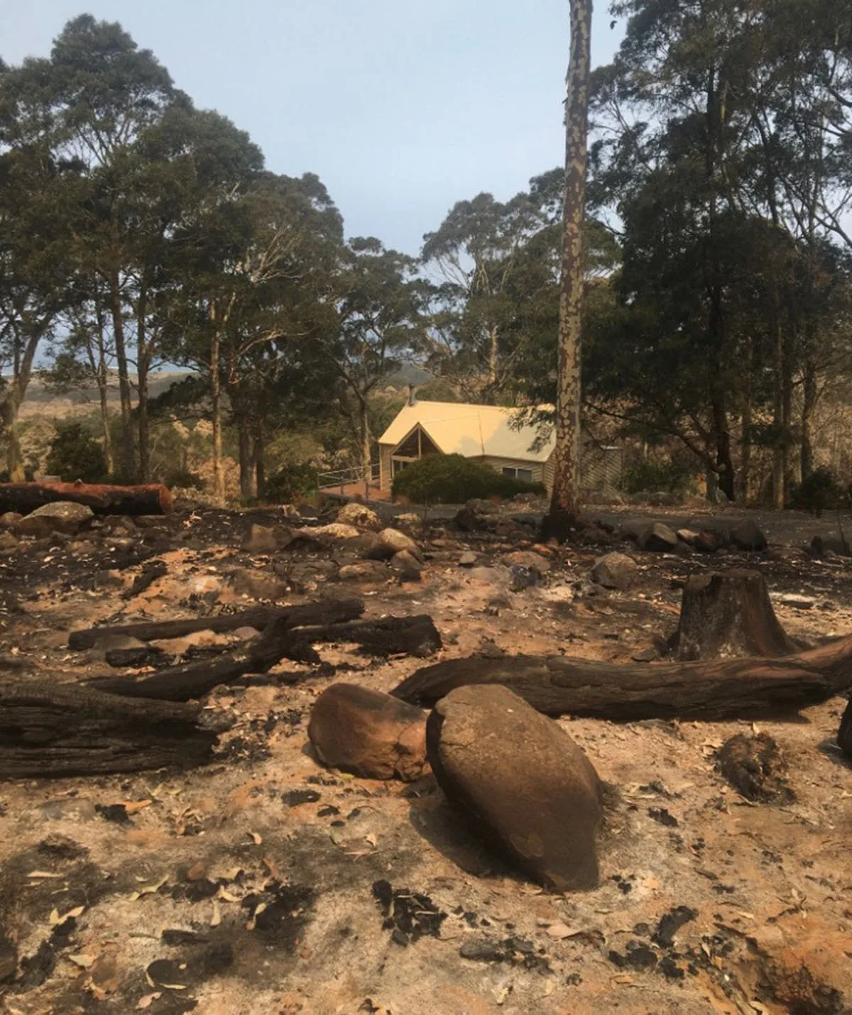 The ravaged landscape at Bundle Hill Cottages, Bawley Point, NSW. (Image: Supplied)