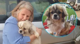 Karen Tucker and her beloved dog Mishka. (Image: Supplied)