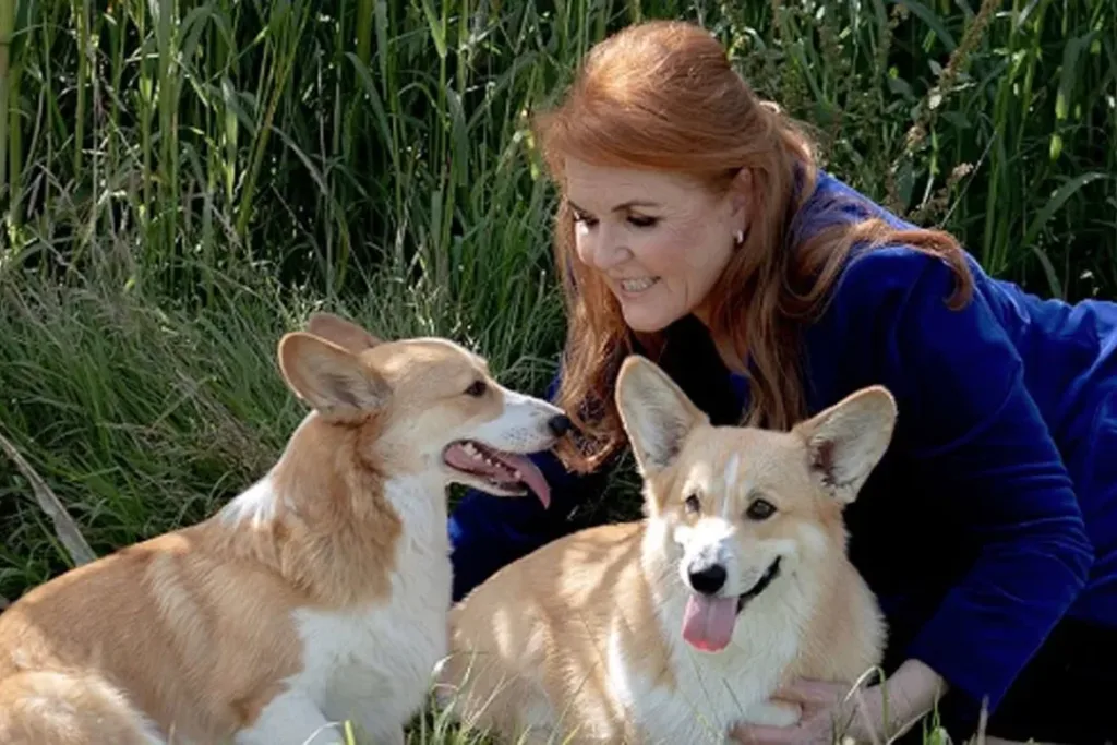 Sarah Ferguson gave an update on the corgis a year after the Queen’s death.