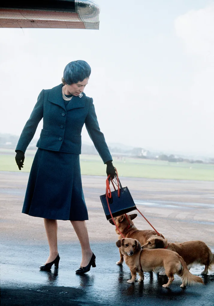 Queen Elizabeth II had more than 30 corgis over her lifetime