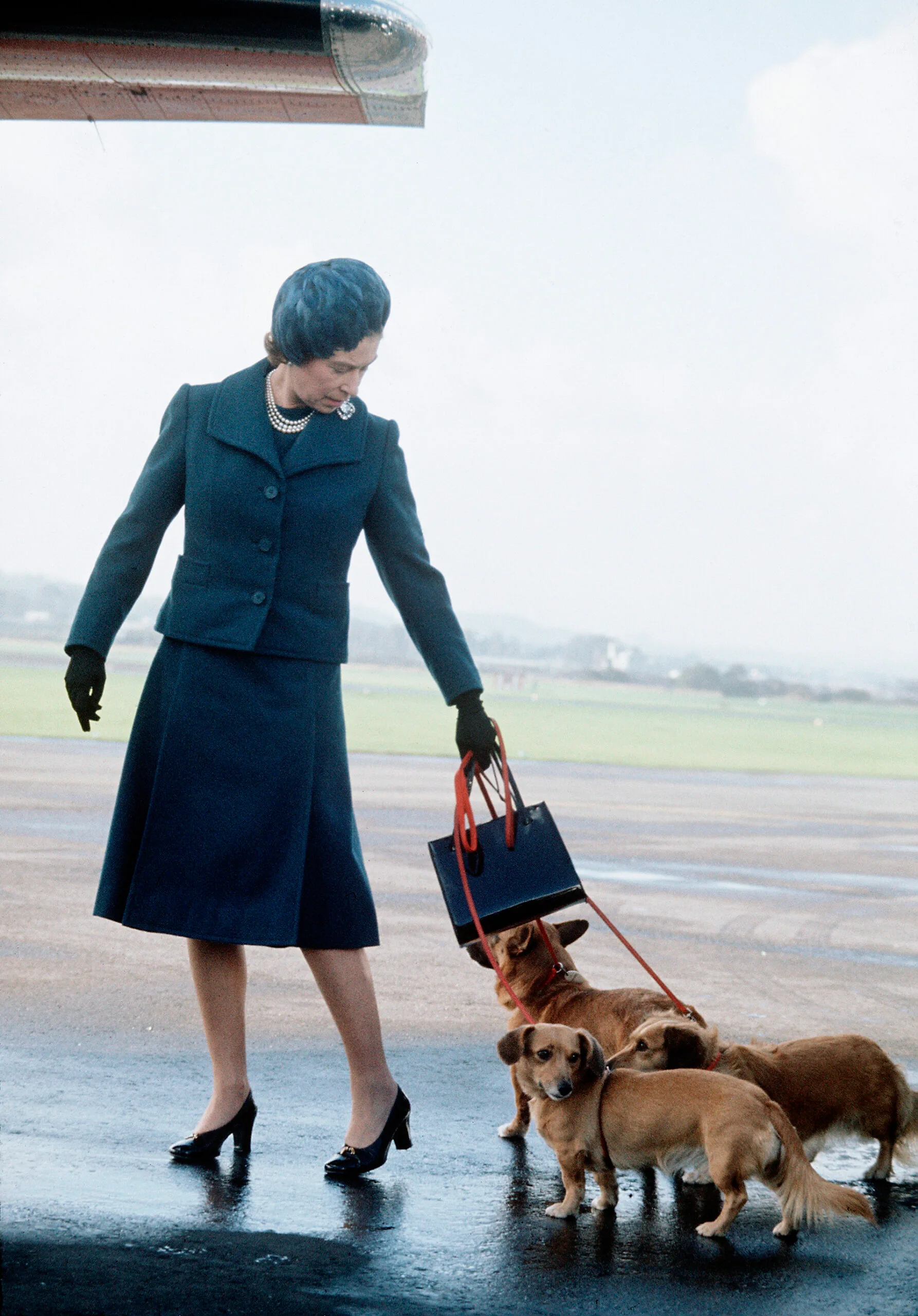 Queen Elizabeth II had more than 30 corgis over her lifetime