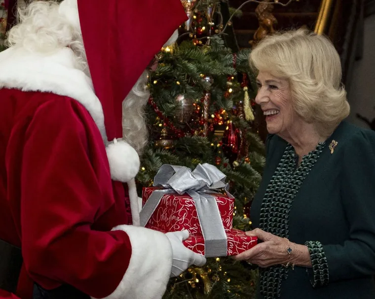 Camilla Christmas tea party