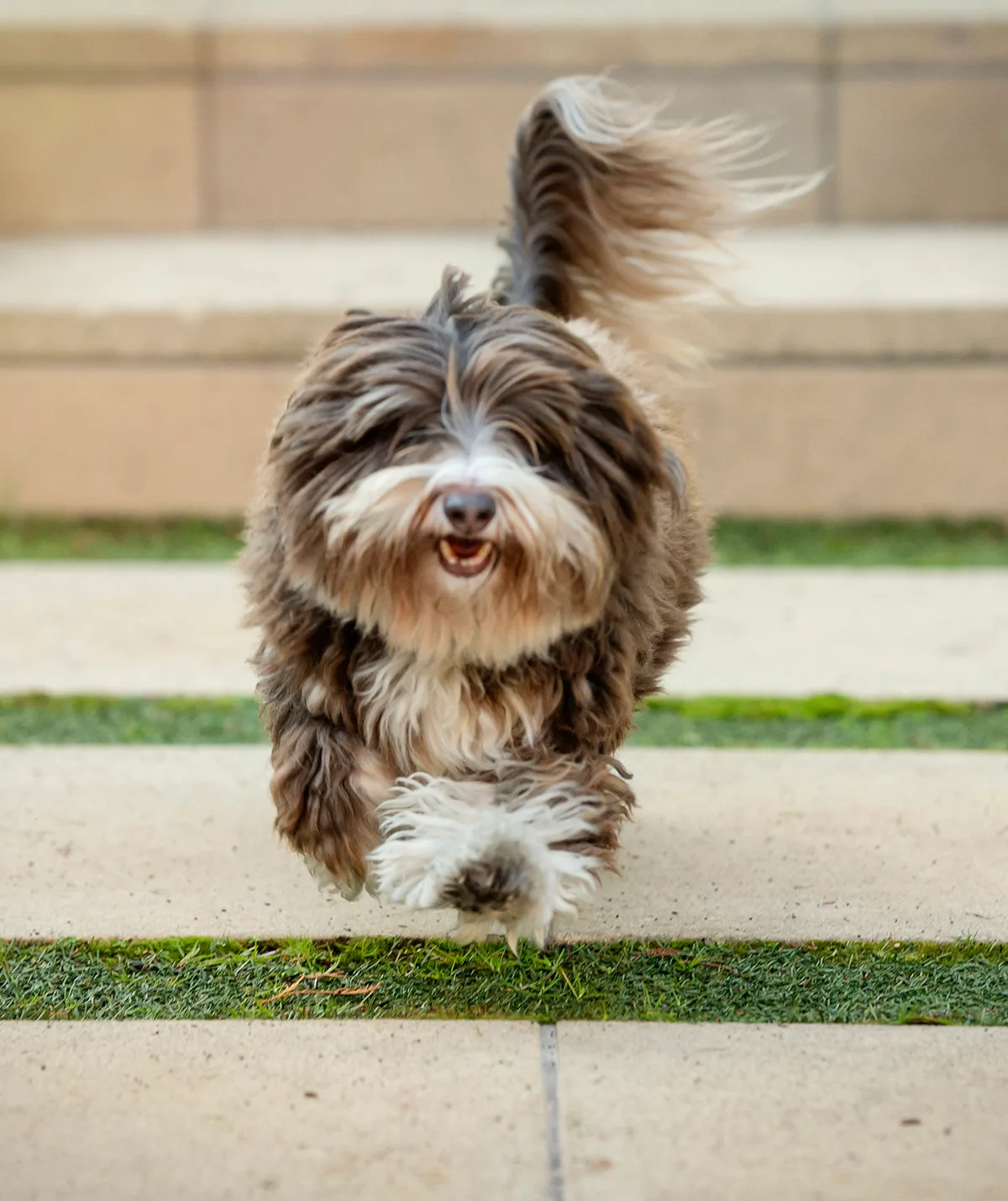 Artie from TV series, Fisk.