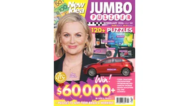 New Idea Jumbo Puzzle Book 160