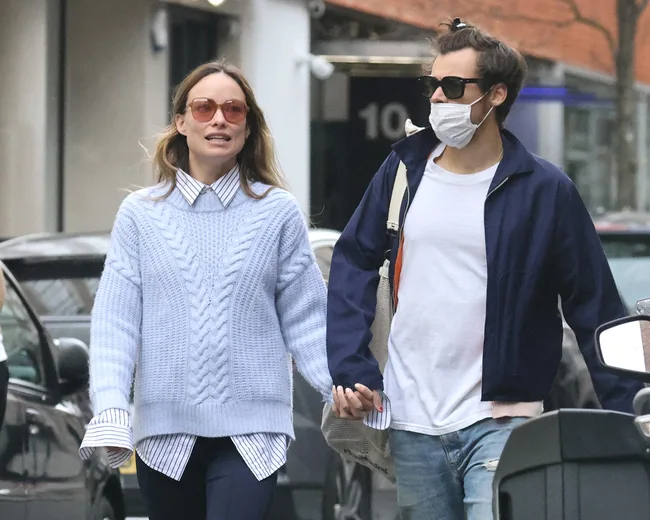 Olivia Wild, Harry Styles