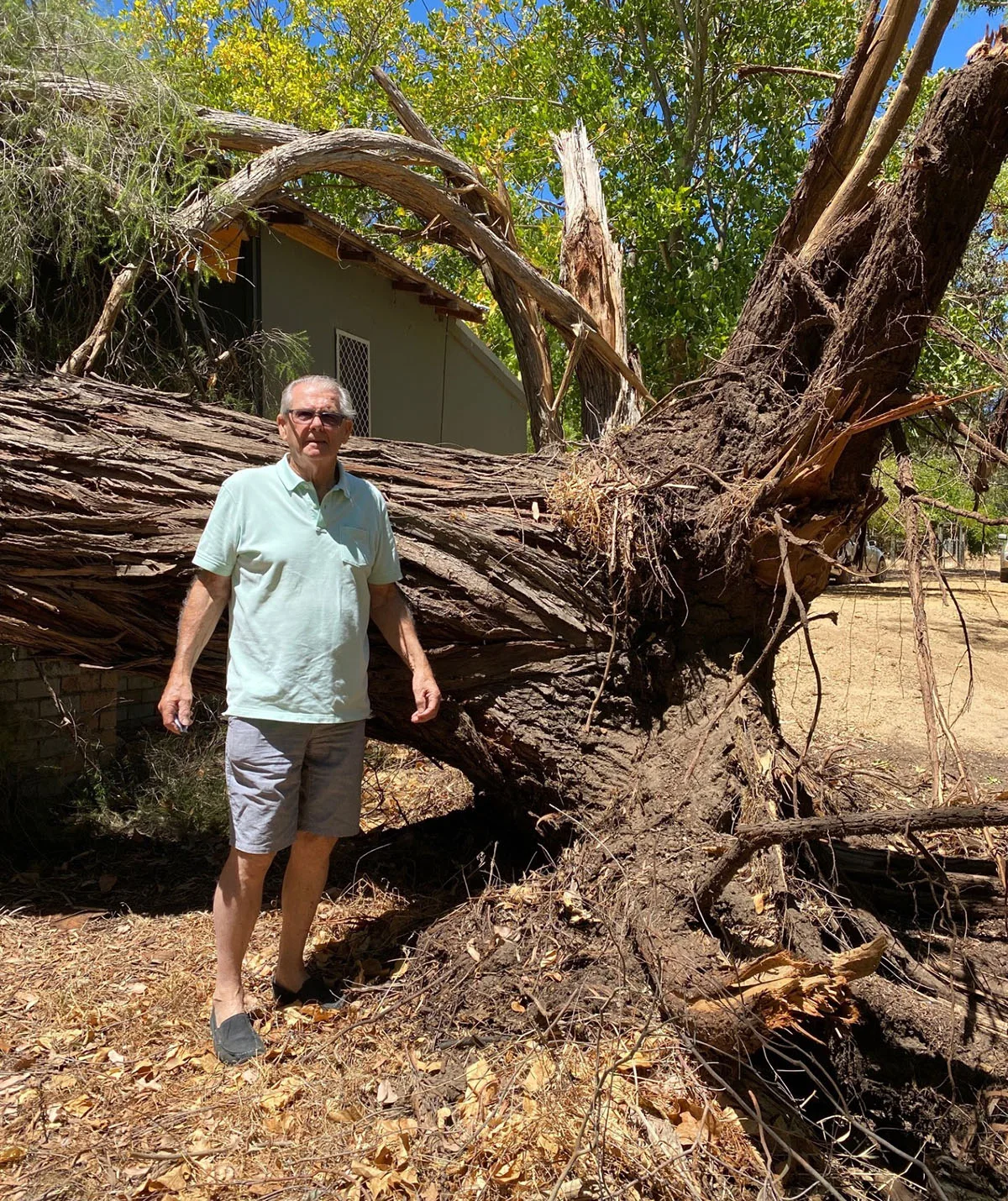 Harold stands in front of the tree that fell on the house. (Image Supplied)