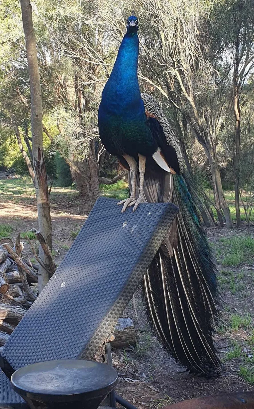 We were lost without Kevin. (Image: Supplied)