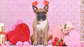 Last-minute Valentine’s Day gifts guaranteed to impress.