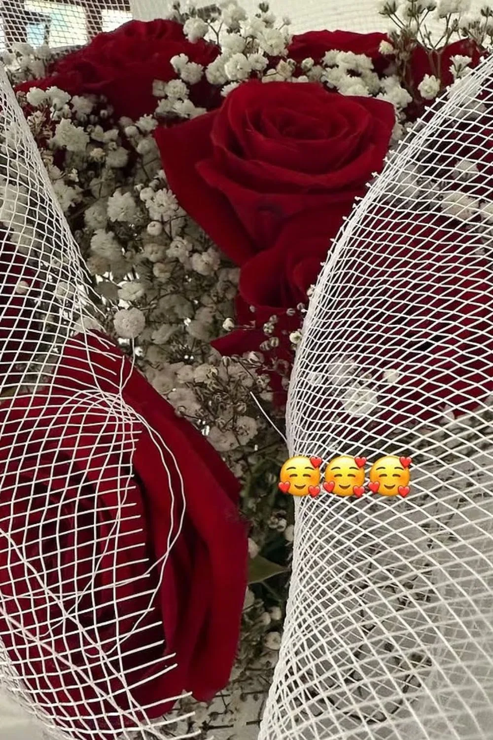 Roses received by Gia from MAFS