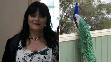 Donna Abraham and her pet peacock Kevin. (Image: Supplied)