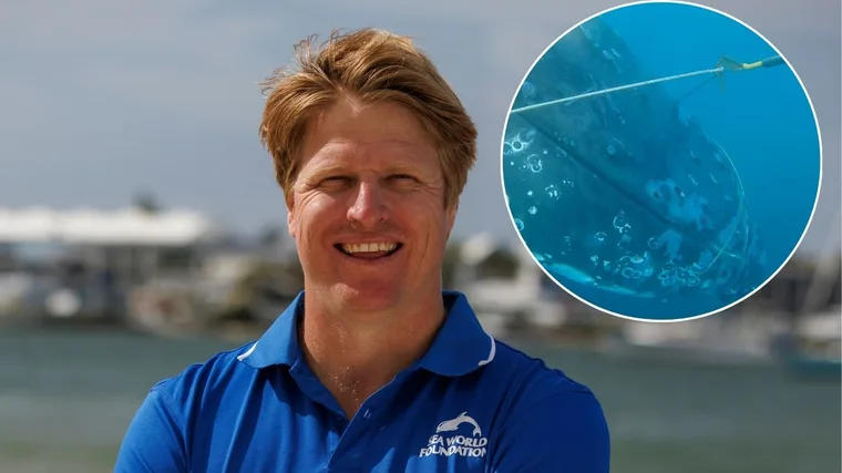 Ben Markham and the whale that had become entangled. (Image: Vince Valitutti/Supplied)