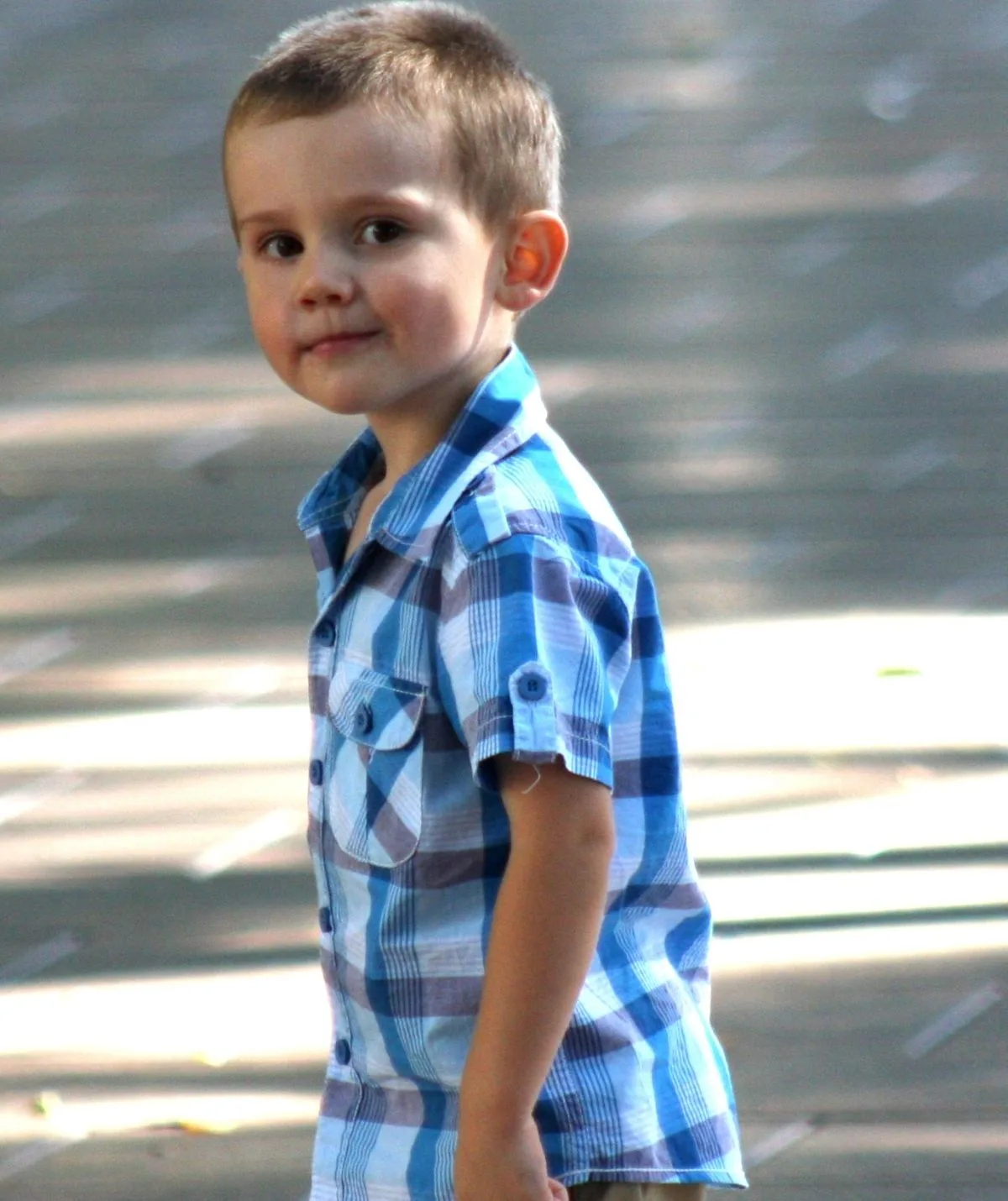 Missing child William Tyrell