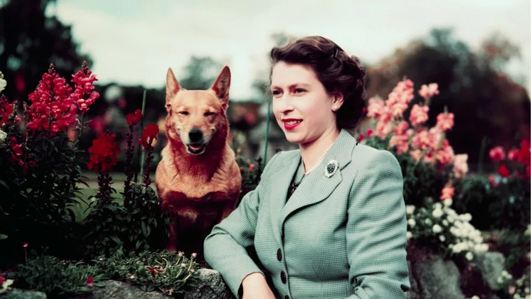 Queen Elizabeth II