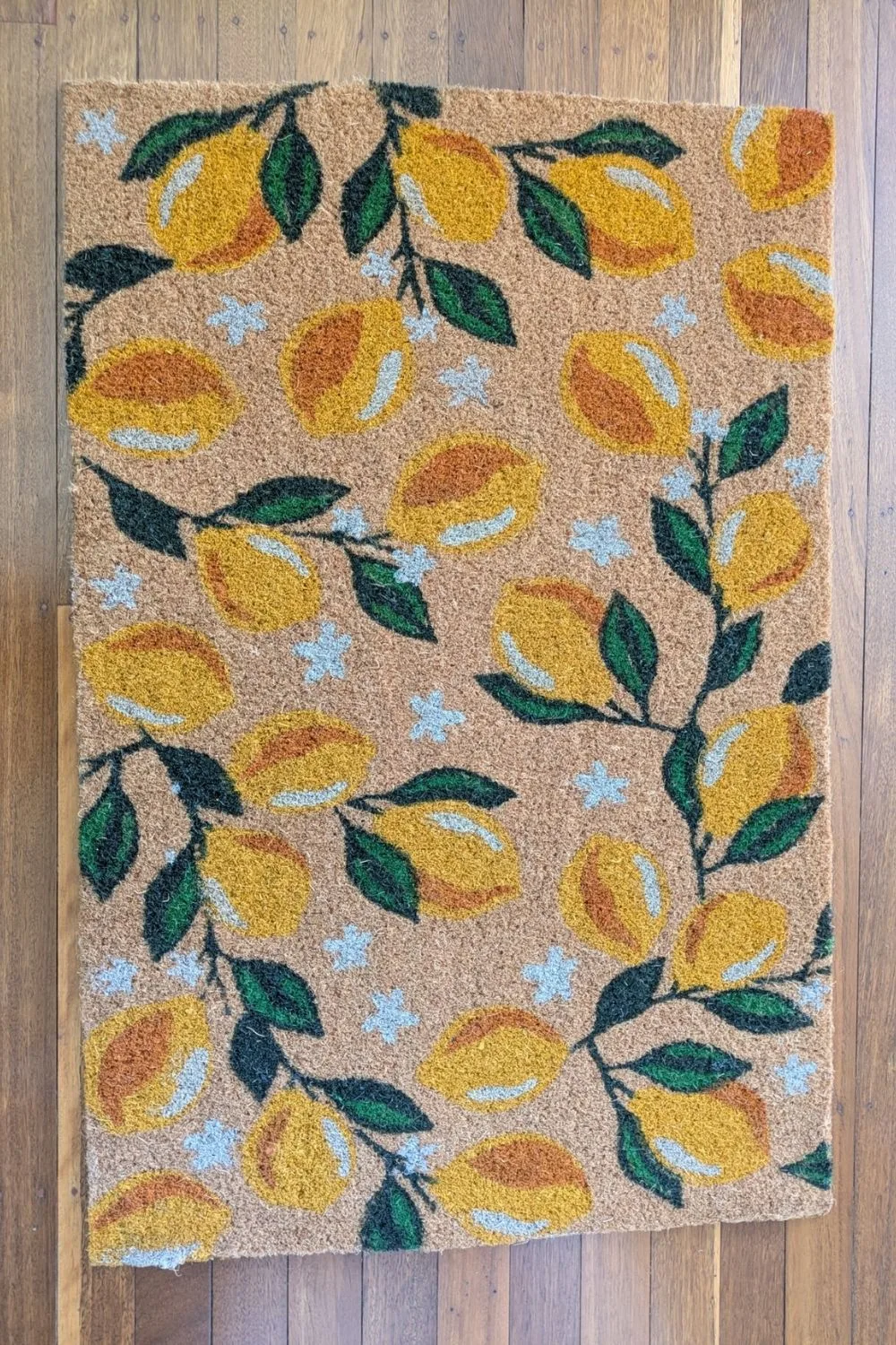 Temple & Webster discount code guide: The Musa Lemon Coir doormat bought on sale