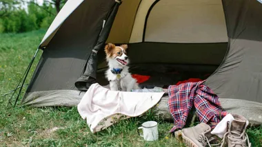 Anaconda discount code: save on camping and outdoor gear, bbqs and more with codes and deals tested by the Woman's Day Deals Team.