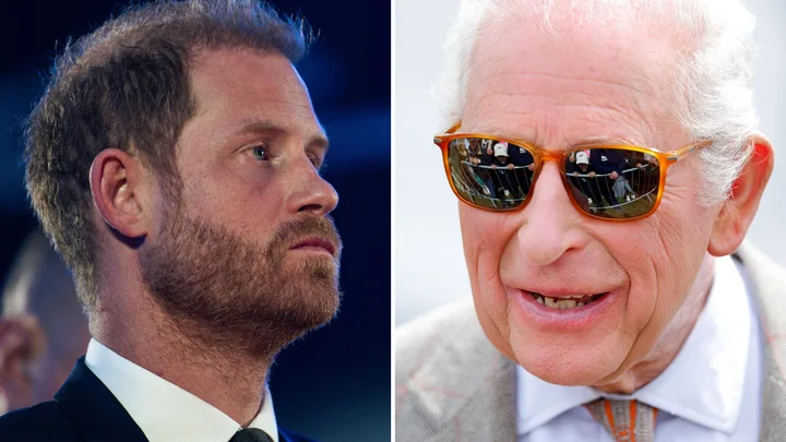 Charles and Harry ‘secret alliance’ claim stuns as expert issues stark warning