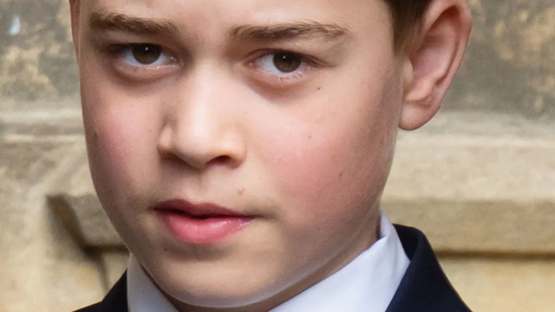 ‘Full shock': Big George update as William takes family advice ‘to heart'