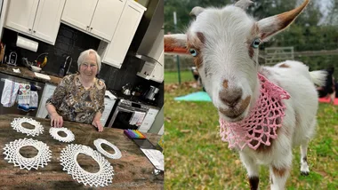 Knitting for goats made me famous!