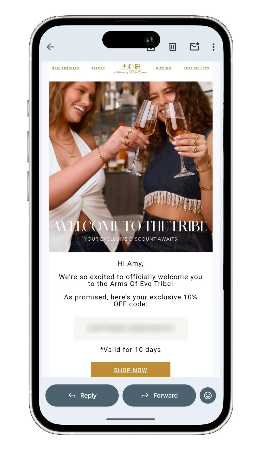 Arms of Eve discount code guide: A screenshot of the first order discount I got when I signed up for the newsletter in July 2026.