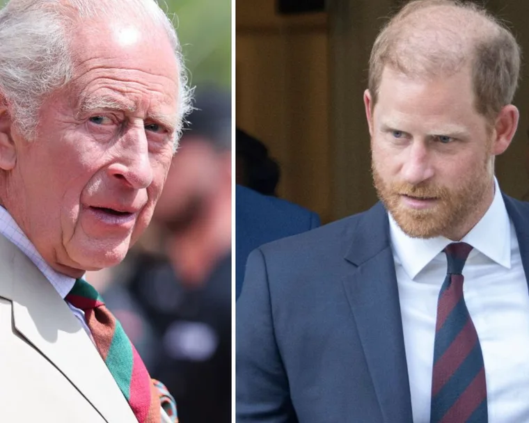 King Charles and Prince Harry
