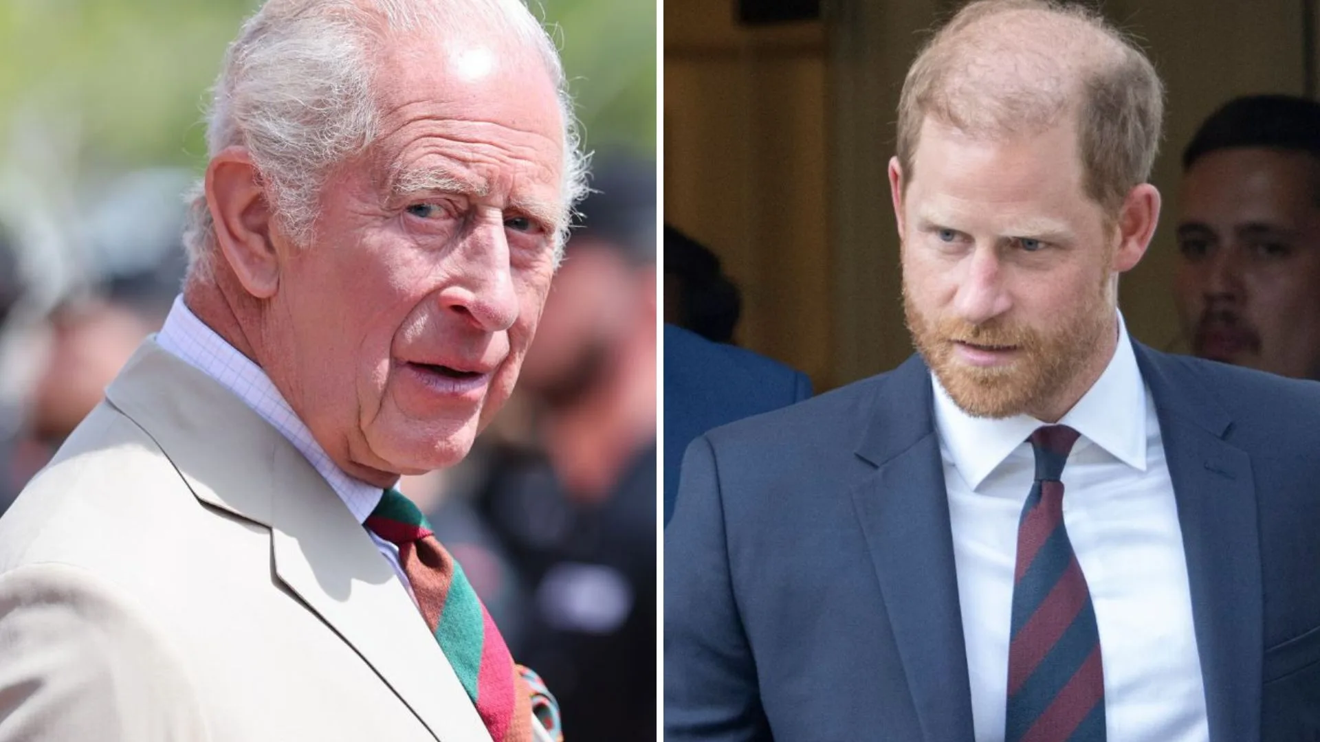 King Charles and Prince Harry