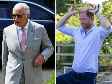 Prince William, King Charles, Prince Harry