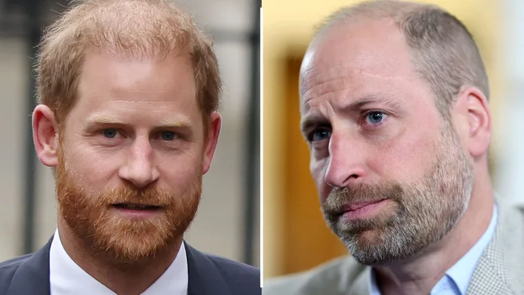 Estranged brothers Prince Harry and Prince William are preparing to reunite after four long years